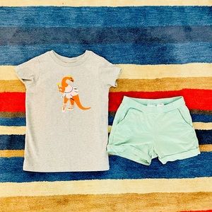Hanna Andersson 5T *New* Princess Dinosaur Ballerina 🩰 Tee + mint green shorts